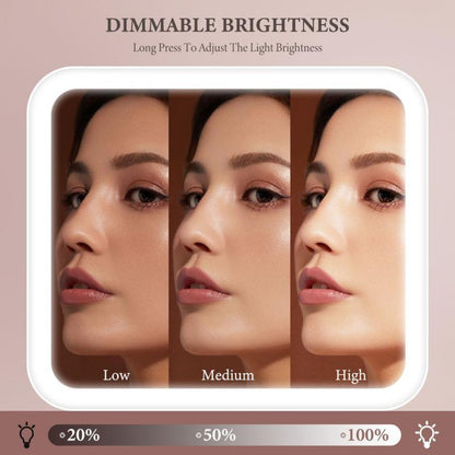 10X Magnifying Detachable Travel Makeup Bag with Mirror of LED Lighted, Adjustable Dividers Makeup Train Case